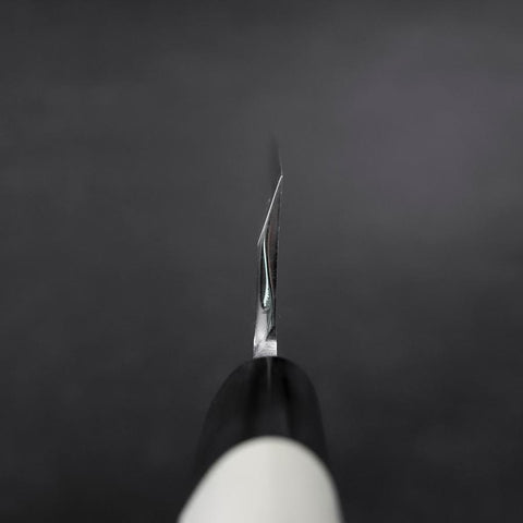 Aideba White Steel #2 Kasumi Büffelhorn und Magnolienholz Griff 210mm-[Musashi]-[Japan-Küchenmesser]