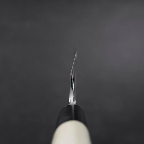 Aideba White Steel #2 Kasumi Büffelhorn und Magnolienholz Griff 225mm-[Musashi]-[Japan-Küchenmesser]