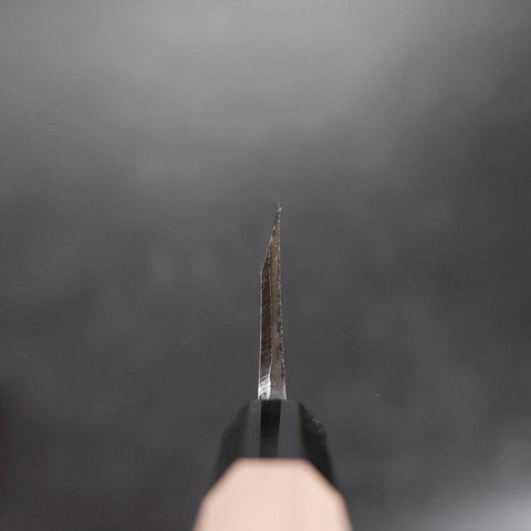 Deba Blue Steel #2 Kasumi Büffelhorn und Magnolienholz Griff 210mm-[Musashi]-[Japan-Küchenmesser]