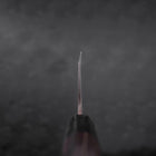 Deba Blue Steel #2 Kurouchi Büffelhorn und Ebenholz Griff 270mm - (Dick)-[Musashi]-[Japan-Küchenmesser]