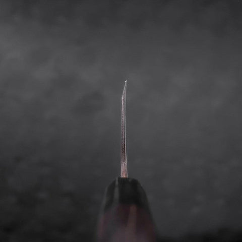 Deba Blue Steel #2 Kurouchi Büffelhorn und Ebenholz Griff 270mm - (Dick)-[Musashi]-[Japan-Küchenmesser]