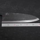 Deba Blue Steel #2 Kurouchi Büffelhorn und Ebenholz Griff 300mm (Dick)-[Musashi]-[Japan-Küchenmesser]