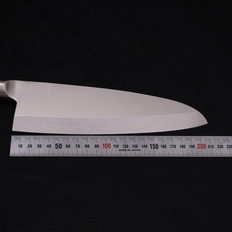 Deba Molybdän Westlicher Griff 210mm-[Musashi]-[Japan-Küchenmesser]