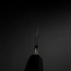 Deba Silver Steel #3 Kasumi Büffelhorn und Ebenholz Griff 165mm-[Musashi]-[Japan-Küchenmesser]