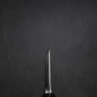 Deba White Steel #2 Kasumi Büffelhorn und Teakholz Griff 210mm-[Musashi]-[Japan-Küchenmesser]