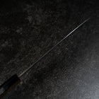 Funayuki Blue Steel #2 Kurouchi Buffalo Ebony Handle 210mm (8.3”)-[Musashi]-[Japanese-Kitchen-Knives]