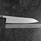 Gyuto AUS-8 Poliert Grüner Ozeanplastik Griff 210mm-[Musashi]-[Japan-Küchenmesser]