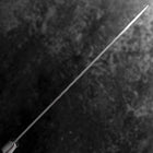 Gyuto AUS-8 Tsuchime Western Mahogany Handle 210mm (8.3”)-[Musashi]-[Japan-Küchenmesser]