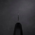 Gyuto Blue Steel #2 Chokin Kurouchi Drache Büffelhorn und Ebenholz Griff 240mm-[Musashi]-[Japan-Küchenmesser]