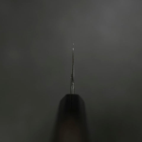 Gyuto Blue Steel #2 Kurouchi Büffelhorn und Ebenholz Griff 210mm-[Musashi]-[Japan-Küchenmesser]