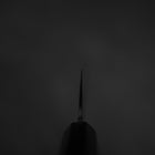 Gyuto Blue Steel #2 Kurouchi Chokin Drache Büffelhorn und Ebenholz Griff 210mm-[Musashi]-[Japan-Küchenmesser]