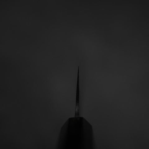 Gyuto Blue Steel #2 Kurouchi Chokin Drache Büffelhorn und Ebenholz Griff 210mm-[Musashi]-[Japan-Küchenmesser]