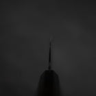 Gyuto Blue Steel #2 Kurouchi Chokin Hannya Büffelhorn und Ebenholz Griff 210mm-[Musashi]-[Japan-Küchenmesser]