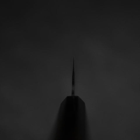 Gyuto Blue Steel #2 Kurouchi Chokin Koi Büffelhorn und Ebenholz Griff 210mm-[Musashi]-[Japan-Küchenmesser]