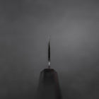 Gyuto Blue Steel #2 Kurouchi Ebenholz Griff 210mm-[Musashi]-[Japan-Küchenmesser]