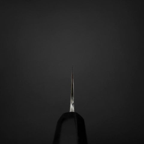 Gyuto Blue Steel #2 Kurouchi Stainless Clad Chokin Sakura-Fuji Buffalo Ebony Handle 210mm