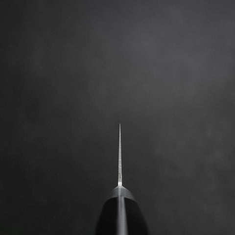 Gyuto Molybdän Poliert Schwarzer Westlicher Griff 210mm-[Musashi]-[Japan-Küchenmesser]