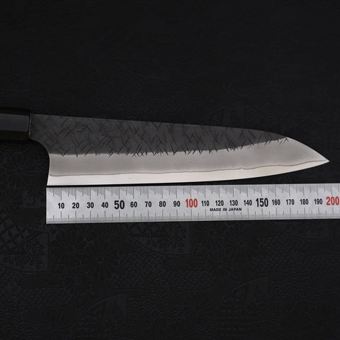 Gyuto SG-2 Kurouchi Tsuchime Buffalo Ebony Handle 210mm