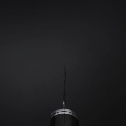 Gyuto SG-2 Black Nickel Damascus Western Ebony Handle 210mm (8.3”)-[Musashi]-[Japanese-Kitchen-Knives]
