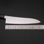 Gyuto SG-2 Poliert Zelkove Griff 210mm-[Musashi]-[Japan-Küchenmesser]