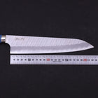 Gyuto SG-2 Tsuchime Blauer Türkis Griff 240mm-[Musashi]-[Japan-Küchenmesser]