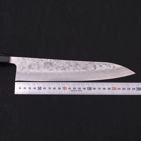 Gyuto Silver Steel #3 Nashiji Büffelhorn und Magnolienholz Griff 240mm-[Musashi]-[Japan-Küchenmesser]