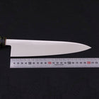 Gyuto VG-1 Poliert Keramik Drachenoptik Griff 210mm-[Musashi]-[Japan-Küchenmesser]