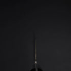 Gyuto VG-1 Poliert Schwarzer Westlicher Griff 210mm-[Musashi]-[Japan-Küchenmesser]