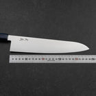 Gyuto VG-10 Damast Blauer Birkenholz Griff 240mm-[Musashi]-[Japan-Küchenmesser]