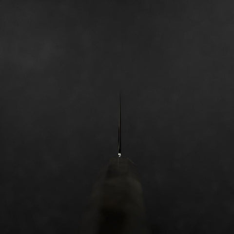 Gyuto VG-10 Damast Grauer Birkenholz Griff 240mm-[Musashi]-[Japan-Küchenmesser]