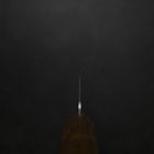 Gyuto VG-10 Poliert Ovangkol Griff 210mm-[Musashi]-[Japan-Küchenmesser]