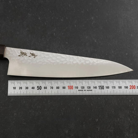 Gyuto VG-10 Tsuchime Ebenholz Griff 200mm-[Musashi]-[Japan-Küchenmesser]