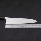 Gyuto ZDP-189 Poliert Büffelhorn und Kastanieholz Griff 240mm-[Musashi]-[Japan-Küchenmesser]