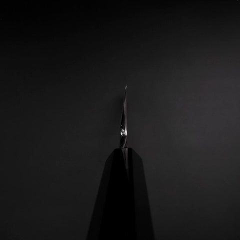 Hamokiri(Honekiri) White Steel #2 Kasumi Büffelhorn und Ebenholz Griff 300mm-[Musashi]-[Japan-Küchenmesser]