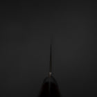 Kiritsuke AUS-10 Damast Roter Westlicher Griff 210mm-[Musashi]-[Japan-Küchenmesser]