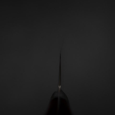 Kiritsuke AUS-10 Damast Roter Westlicher Griff 210mm-[Musashi]-[Japan-Küchenmesser]