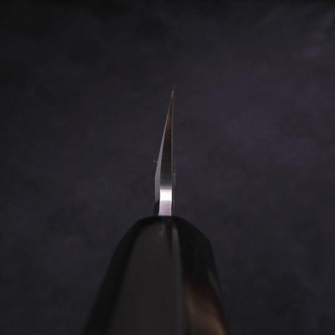 Kiritsuke Blue Steel #2 Kasumi Büffelhorn und Magnolienholz Griff 240mm-[Musashi]-[Japan-Küchenmesser]