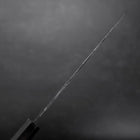 Kiritsuke Blue Steel #2 Kurouchi Büffelhorn und Ebenholz Griff 210mm-[Musashi]-[Japan-Küchenmesser]