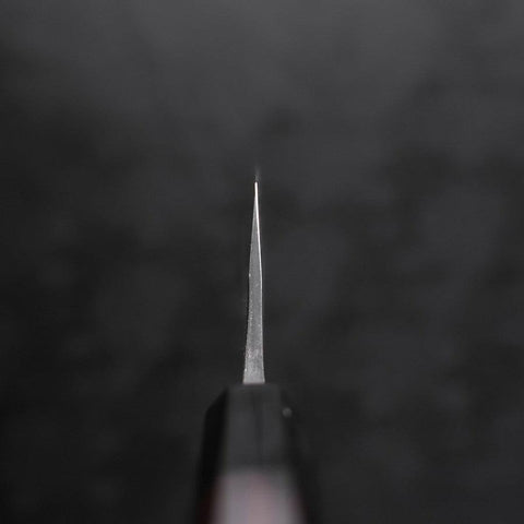 Kiritsuke Blue Steel #2 Kurouchi Damascus Chokin Dragon Buffalo Ebony Handle 210mm-[Musashi]-[Japanese-Kitchen-Knives]