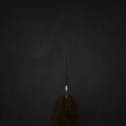 Kiritsuke Gyuto Blue Steel #2 Poliert Olivenholz Griff 210mm-[Musashi]-[Japan-Küchenmesser]