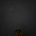 Kiritsuke Gyuto SG-2 Damast Westlicher Goldener Ebenholz Griff 210mm-[Musashi]-[Japan-Küchenmesser]