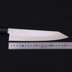 Kiritsuke Gyuto ZDP-189 Polished Buffalo Ebony Handle 210mm (8.3”)-[Musashi]-[Japan-Küchenmesser]