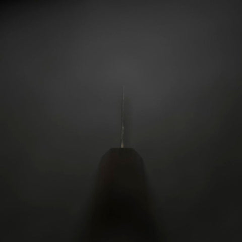 Kiritsuke SG-2 Schwarzer Nickel Damast Ebenholz Griff 210mm-[Musashi]-[Japan-Küchenmesser]