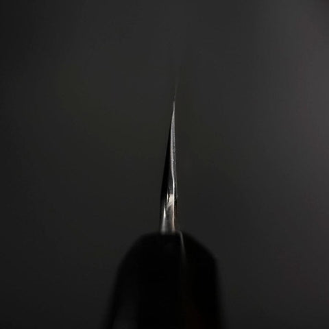 Kiritsuke Silver Steel #3 Poliert Büffelhorn und Ebenholz Griff 260mm-[Musashi]-[Japan-Küchenmesser]