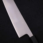 Kiritsuke Silver Steel #3 Poliert Büffelhorn und Magnolienholz Griff 210mm-[Musashi]-[Japan-Küchenmesser]