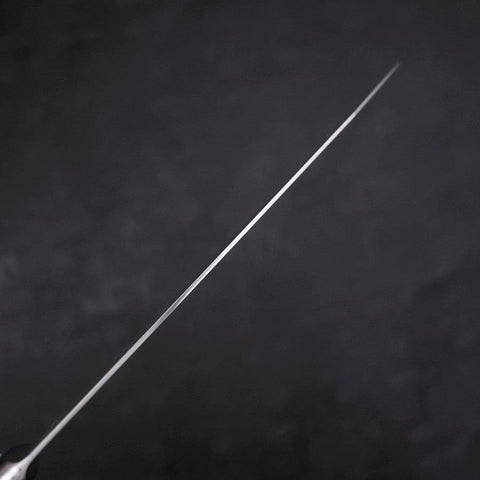 Kiritsuke VG-10 Damast Blaues Marmorierter Epoxidharz Griff 210mm-[Musashi]-[Japan-Küchenmesser]