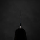 Kiritsuke VG-10 Damast Ebenholz Griff 210mm-[Musashi]-[Japan-Küchenmesser]