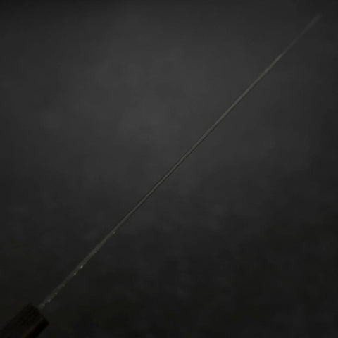Kiritsuke VG-10 Kurozome Damast Büffelhorn und Ebenholz Griff 240mm-[Musashi]-[Japan-Küchenmesser]