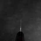 Kiritsuke VG-10 Poliert Büffelhorn und Ebenholz Griff 200mm-[Musashi]-[Japan-Küchenmesser]