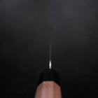Kiritsuke VG-10 Poliert Kirschholz Griff 210mm-[Musashi]-[Japan-Küchenmesser]